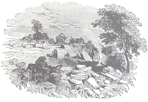 san-matting-shelters